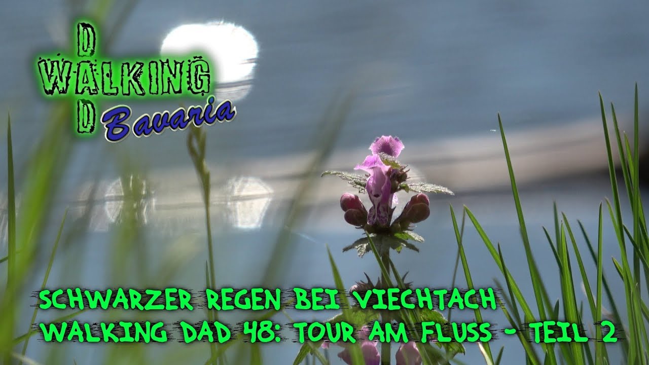 Schwarzer Regen bei Viechtach - Walking Dad 48: Tour am Fluss - Teil 2