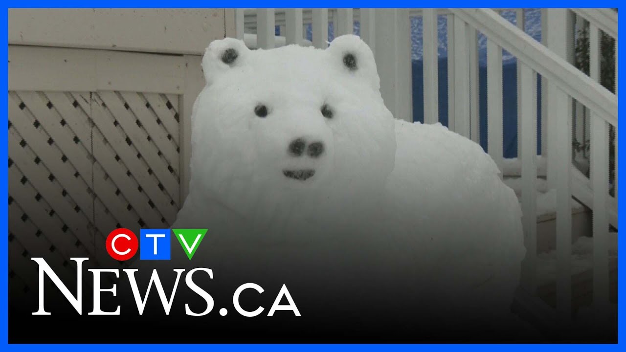 Artist puts snowfall to good use and creates art