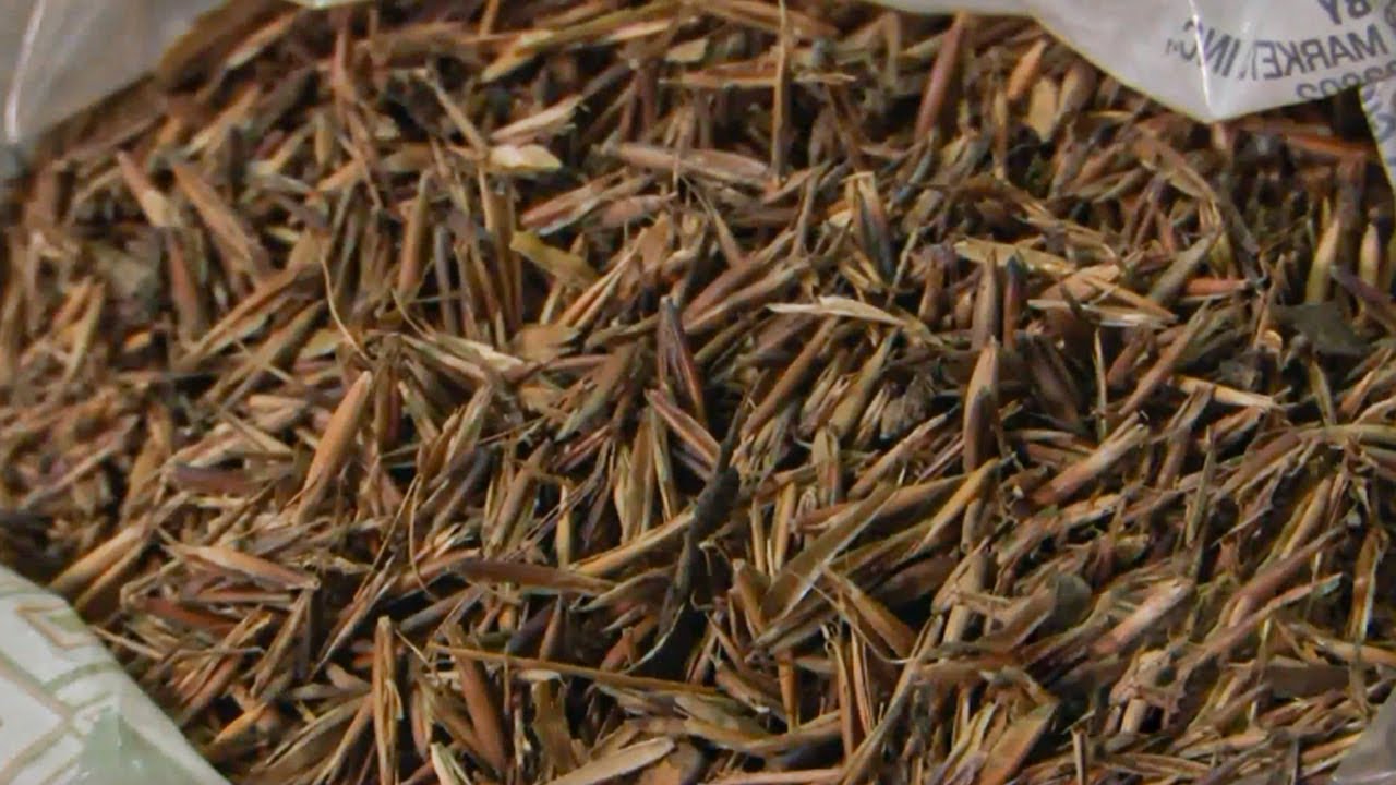 Secret Stash Found in Downtown Huntsville Restaurant Ceiling