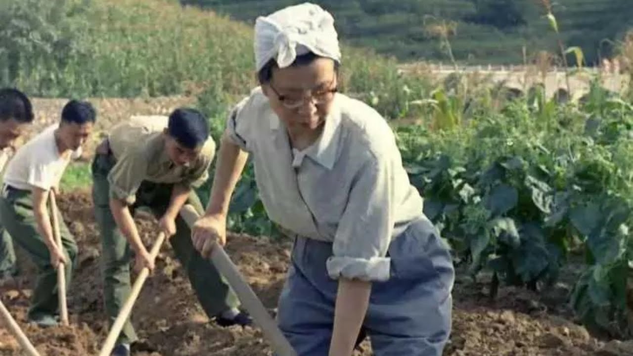 1975年，江青在大寨村挖土的照片，你还别说，好像不是在摆拍 In 1975, the photo of Jiang Qing digging soil in Dazhai Village, don