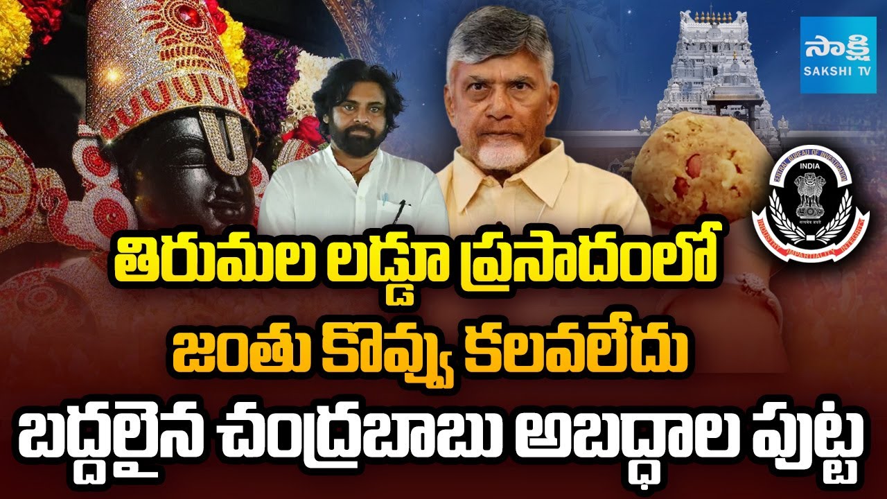 CBI Release Report on TTD Laddu Controversy | CM Chandrababu & Pawan Kalyan | TTD | Sakshi TV