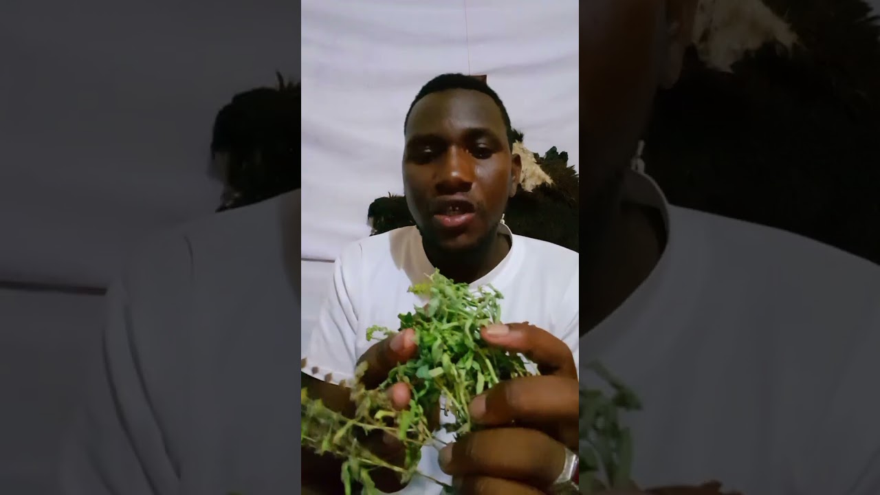 kazi na faida za kivumbasi kuondoa nuksi na mikosi