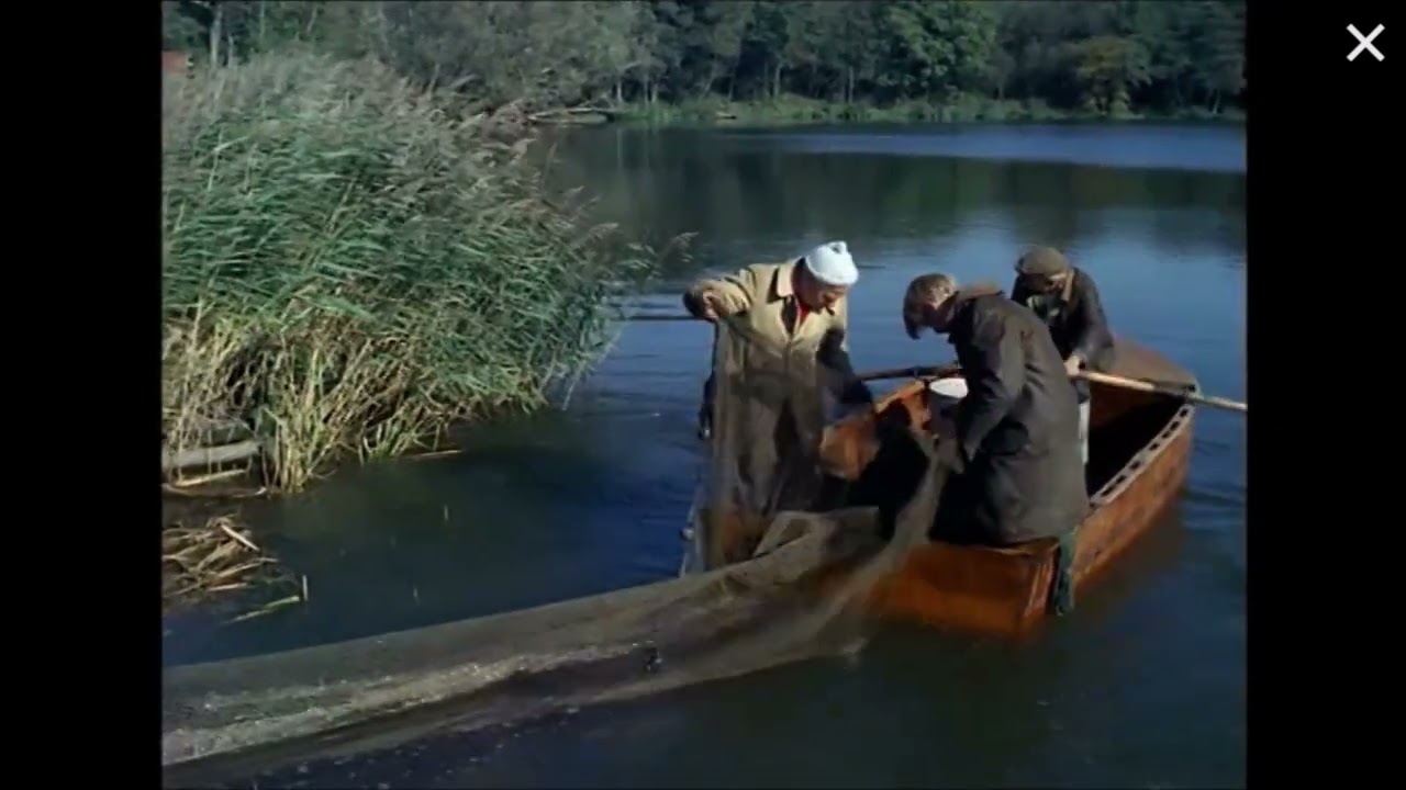 Look at Life IT'S ODDS ON THE FISH (1968)