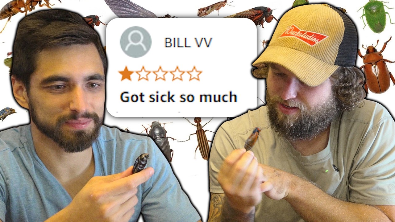 We Ranked Every Edible Bug On Amazon