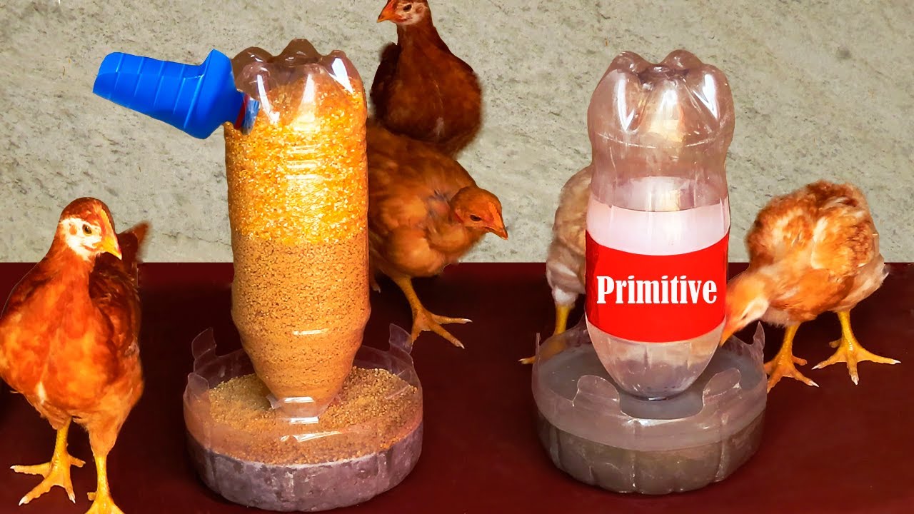 c&oacute;mo hacer un comedero y bebedero autom&aacute;tico para pollos y gallinas con botellas de pl&aacute;stico