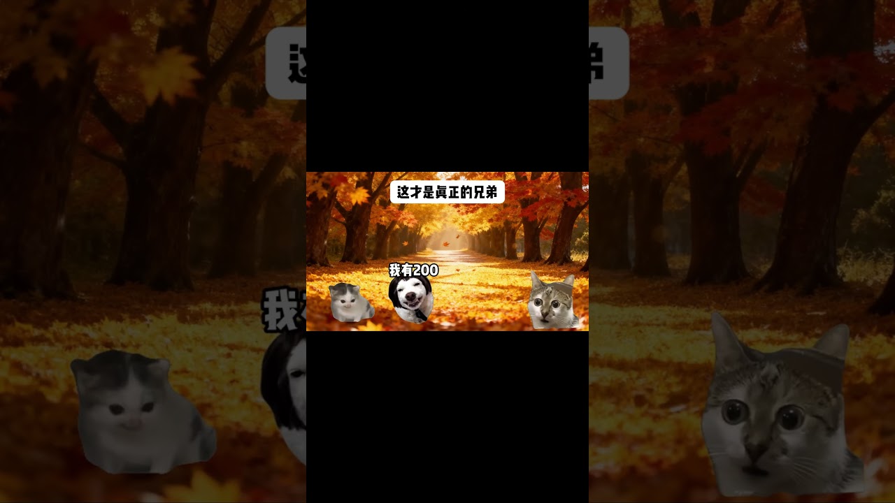 【三謀】不是劇本！醫院走廊賣賬號救父，盟友眾籌看哭全服！😭