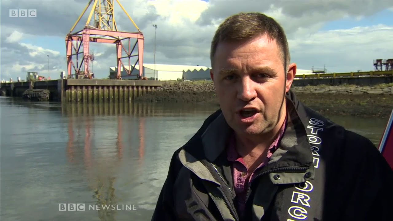 Minke Whale in Belfast Harbour - BBC Newsline