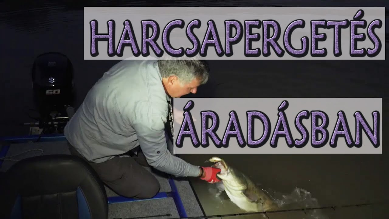 Harcsapergetés áradásban. (kibővített változat)