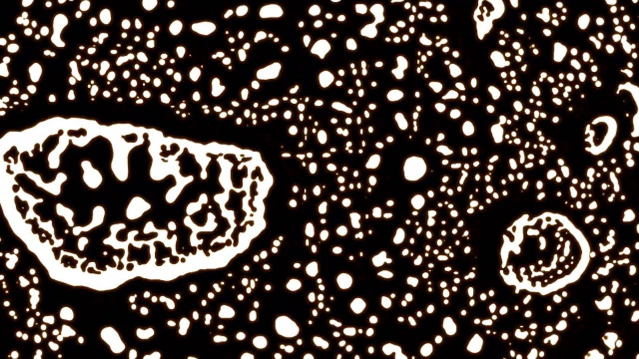 Kutt Calhoun - 501s and Rightsides