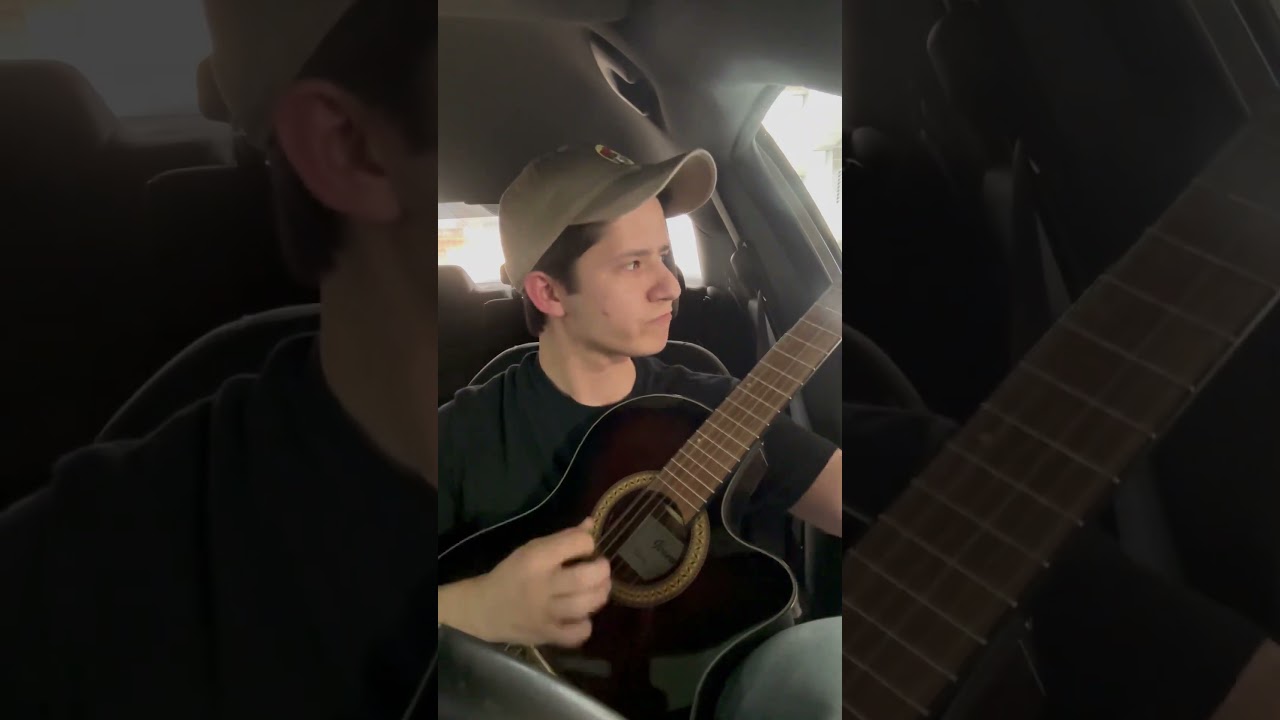 Wax Wings by Periphery Acoustic Nylon Cover #guitar