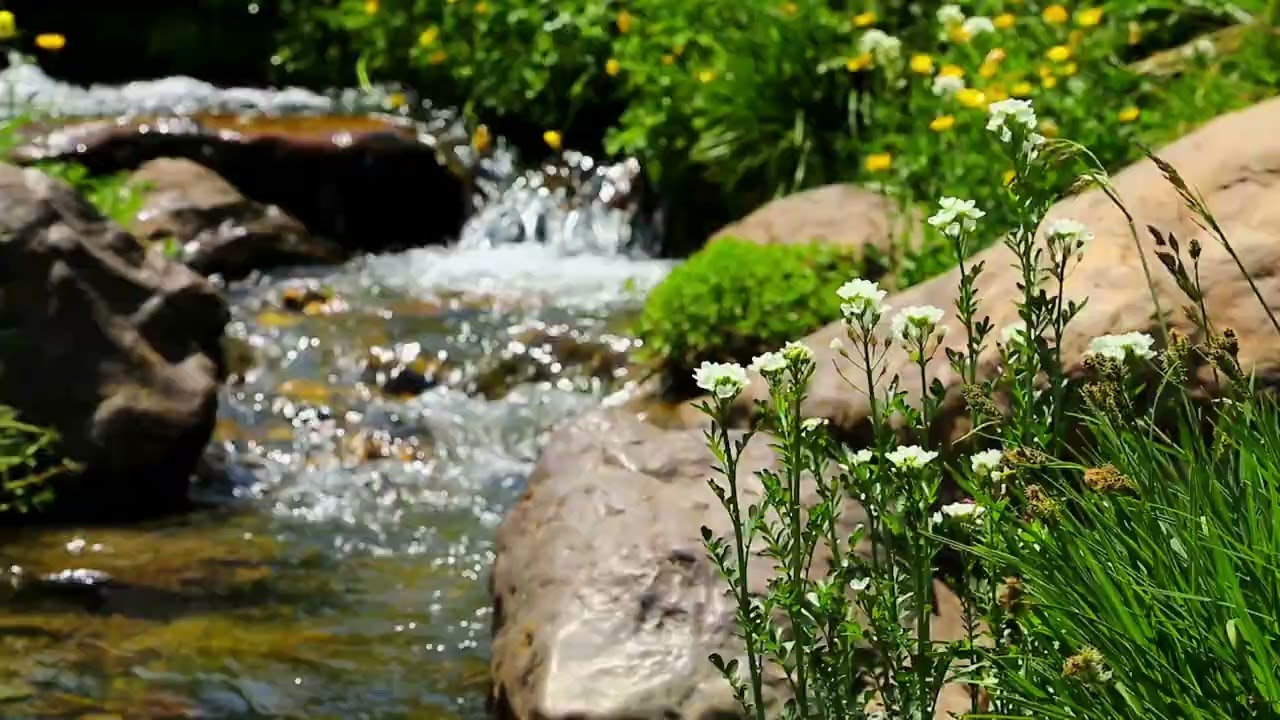 8 Hours of Flowing River Sounds | Deep Sleep, Relaxation, Meditation, Study & Stress Relief