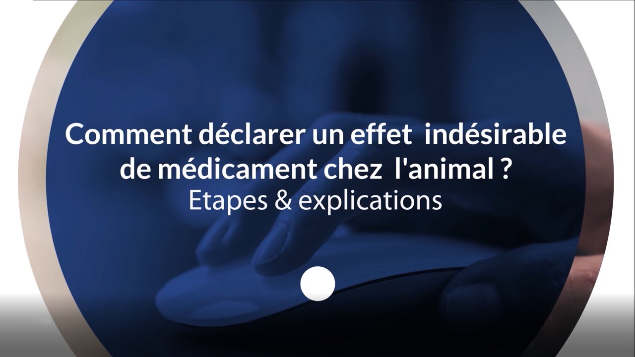 Comment faire une déclaration de pharmacovigilance à l’Anses-ANMV ?