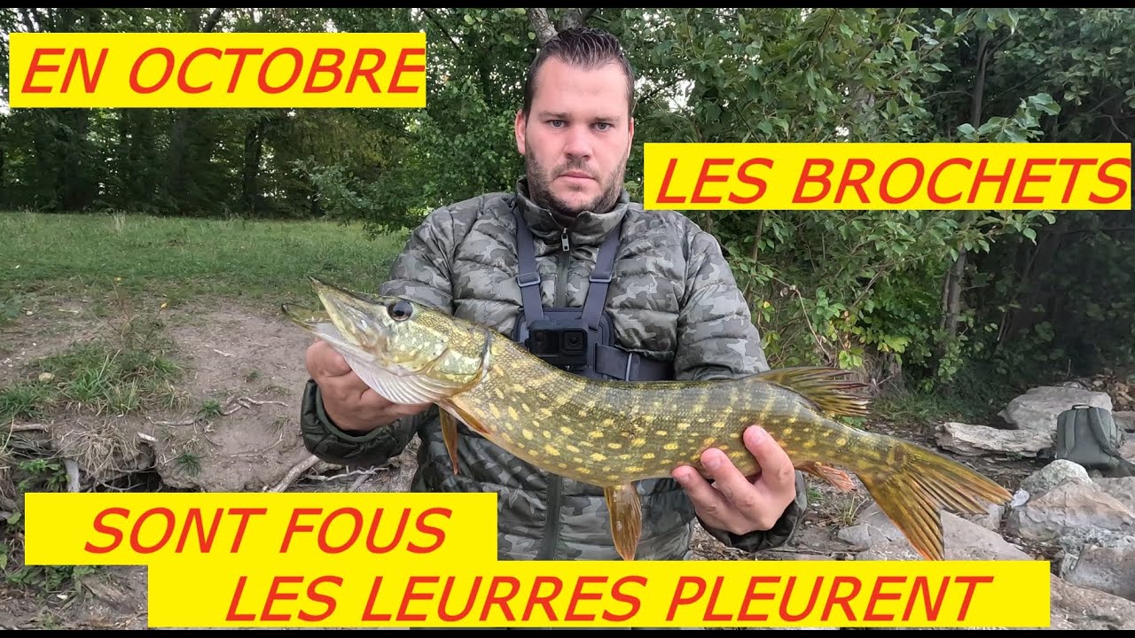 En Octobre Les BROCHETS sont fous (Peche du Brochet)