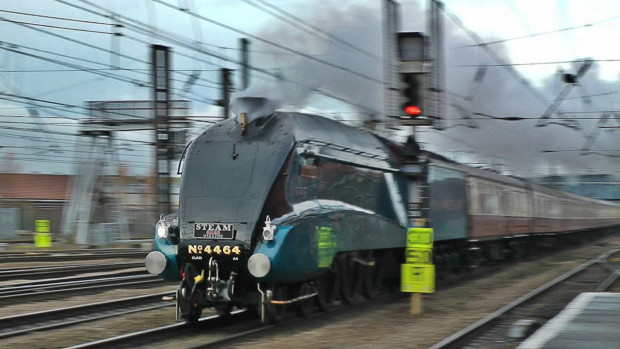 4464 Bittern - The Capital Streak - 07/12/13