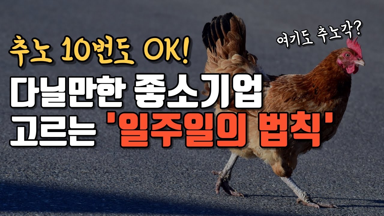 중소기업 거르는 필살기, 잡플래닛 평점은 거들 뿐, 면접 90% 합격 비법 까지~ 구직자 필청!!!