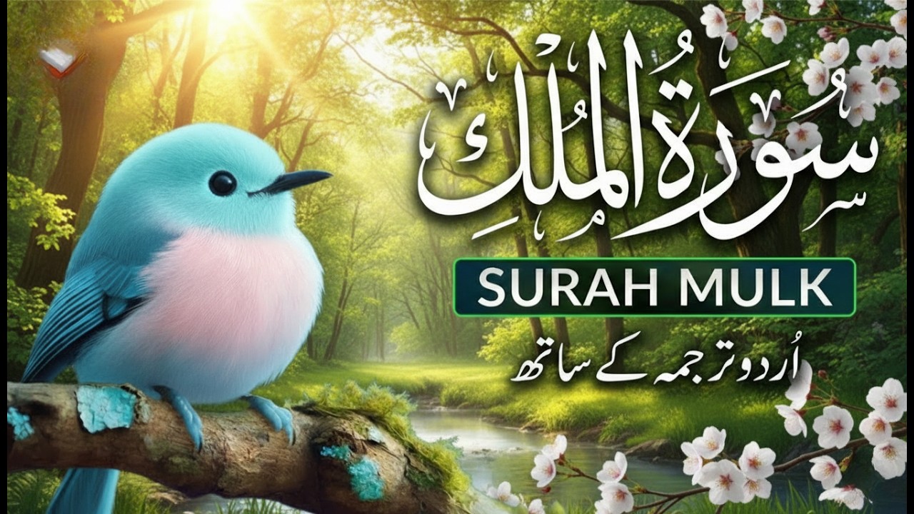Surah Al-Mulk (سورة الملك) | Heart-Calming Recitation for Protection & Night Blessings