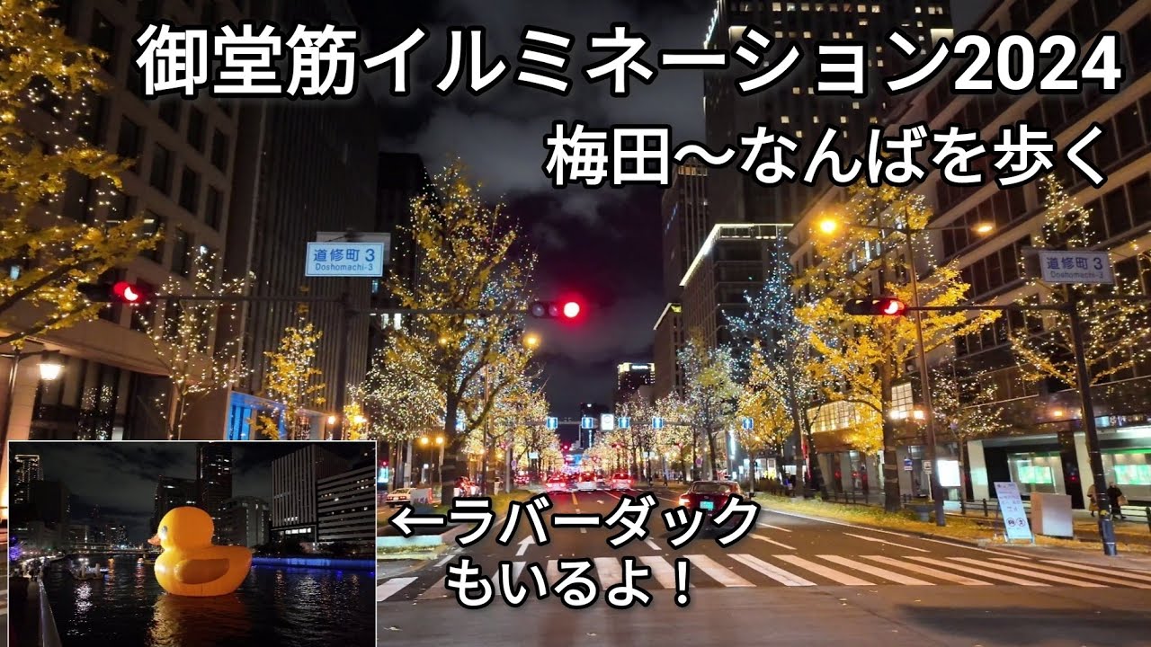 【街歩き】御堂筋イルミネーション2024 梅田からなんばへ歩く OSAKA光のルネサンス2024＆中之島ラバーダック展示も【4K】【DJI Osmo Pocket 3】