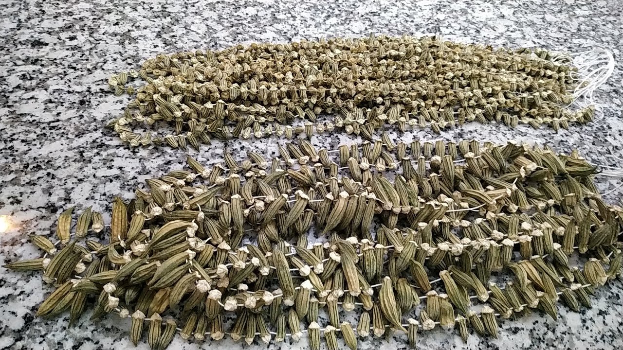 BAMYA KURUTMA (Yaz Sezonu Muhakkak Yapalım )