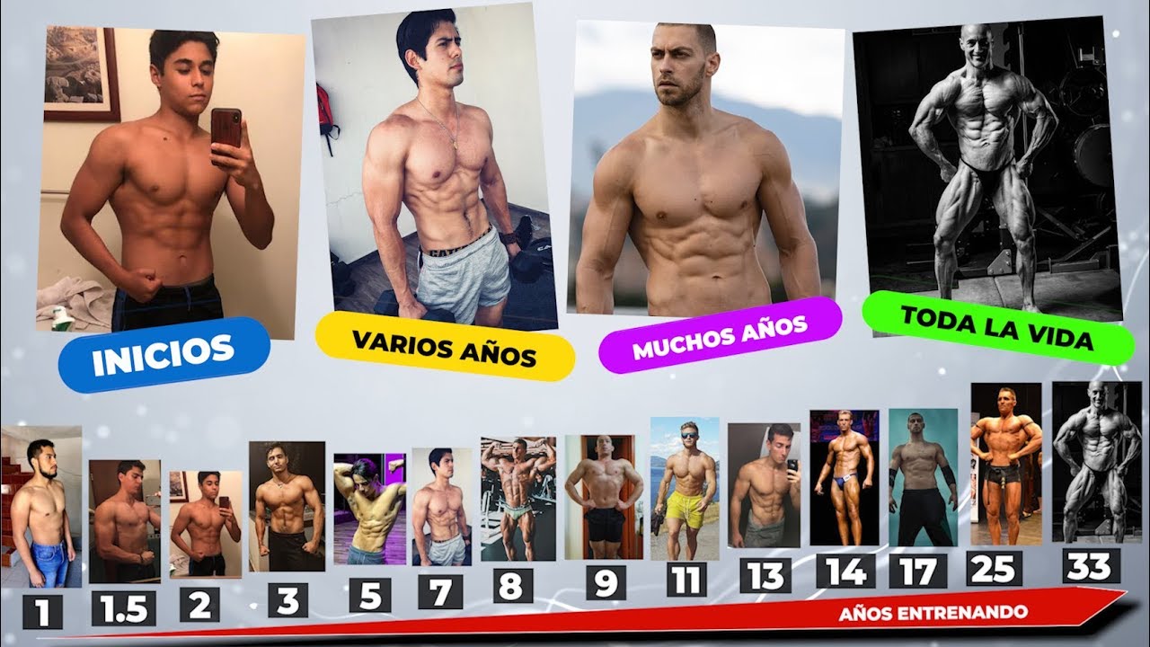 CUERPOS NATURALES SEGÚN EL TIEMPO ENTRENANDO / -BUFF ACADEMY, JEFF NIPPARD, AMOROSI, ERIC HELMS-