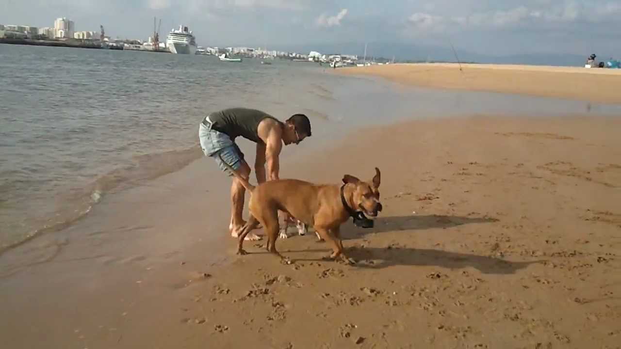 video 2011 10 22 16 22 55