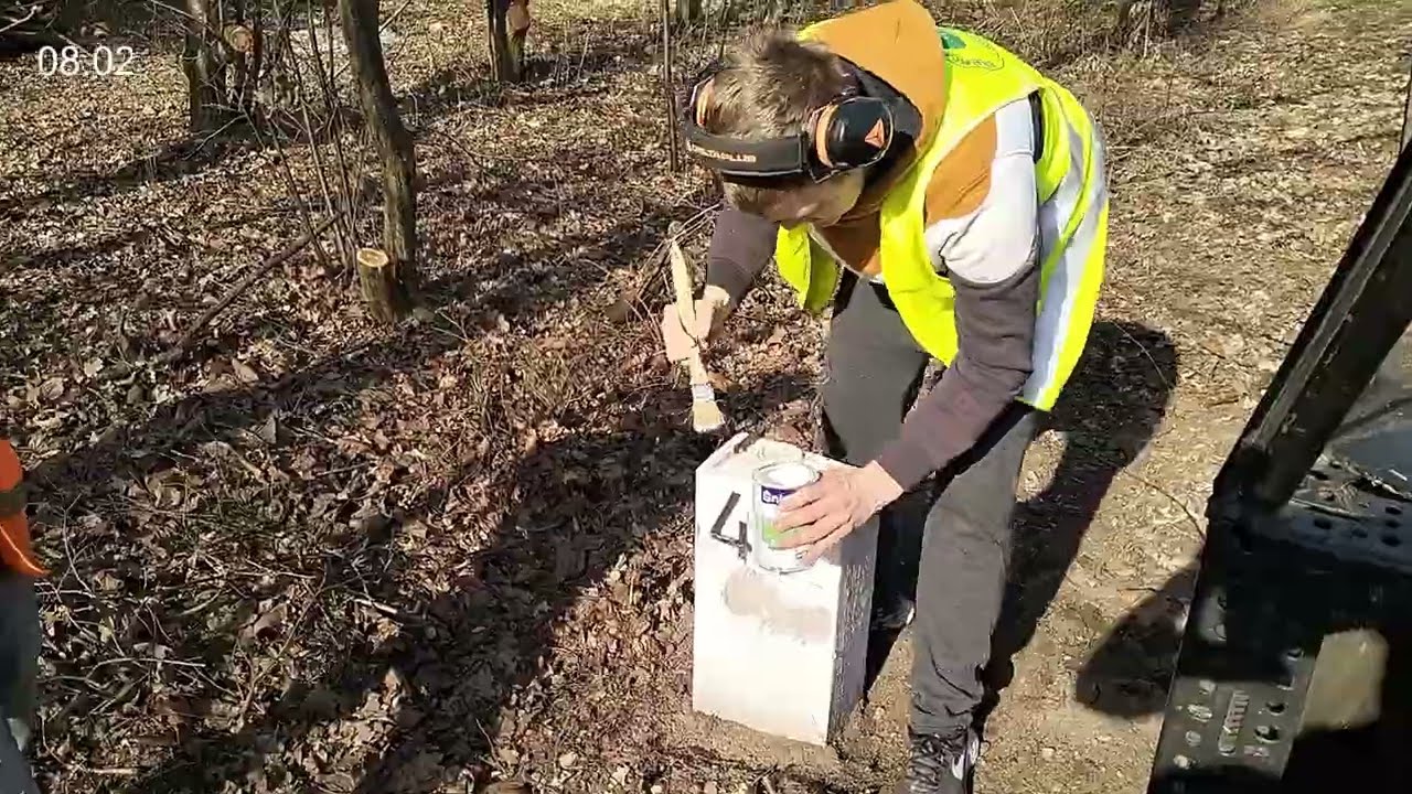 08 03 2025