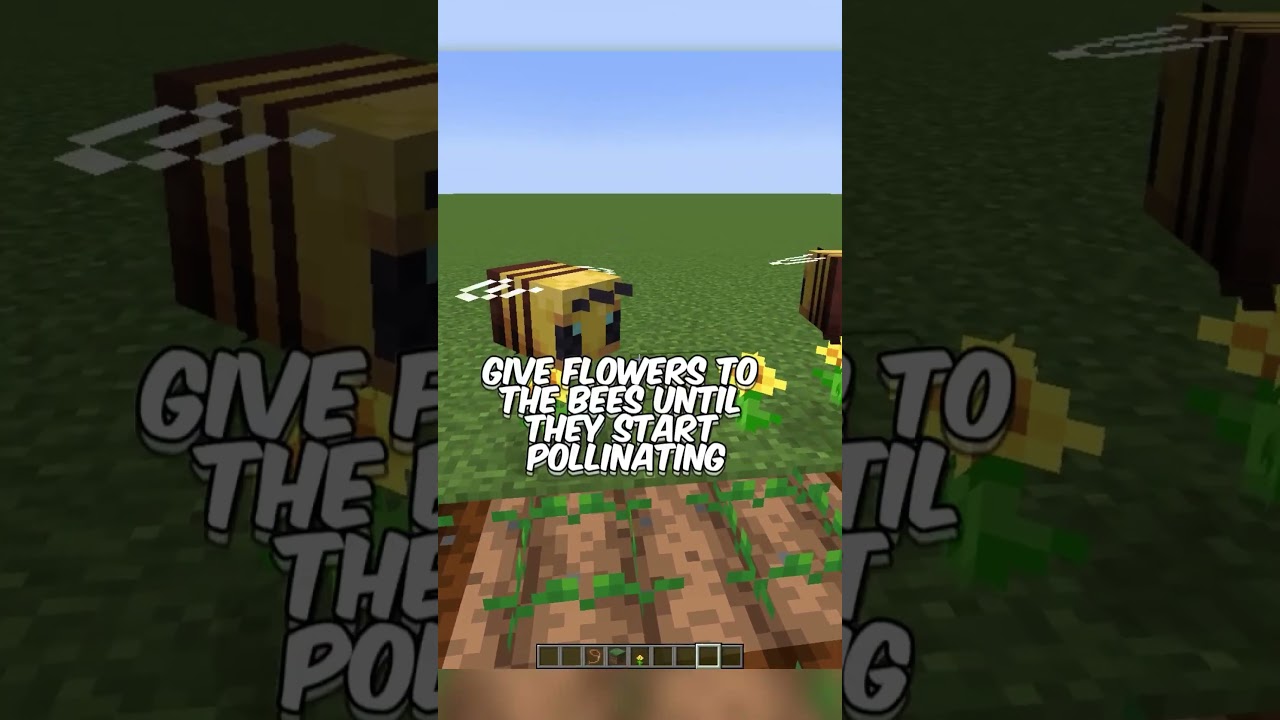 How To Growth Your Crops