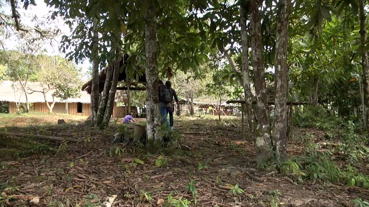Amazônia Rural | Bastão de guaraná | Parte 01