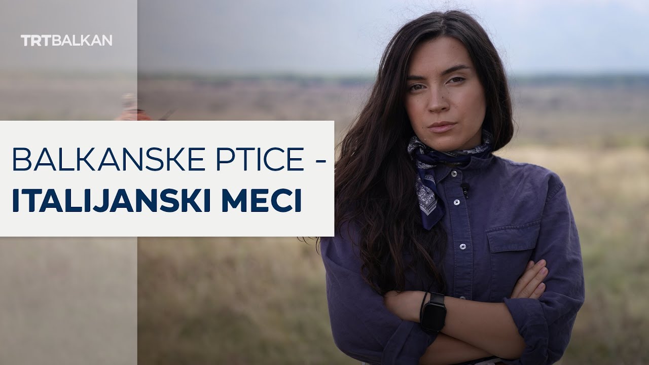 Balkanske ptice - italijanski meci