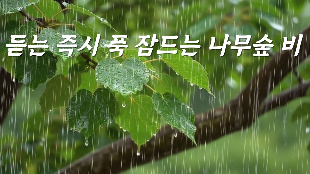 듣는 즉시 바로 잠 드는 나무숲 빗소리, [중간광고없음]10분후 검은화면, 불면증 완화&middot;깊은 수면 유도, ASMR