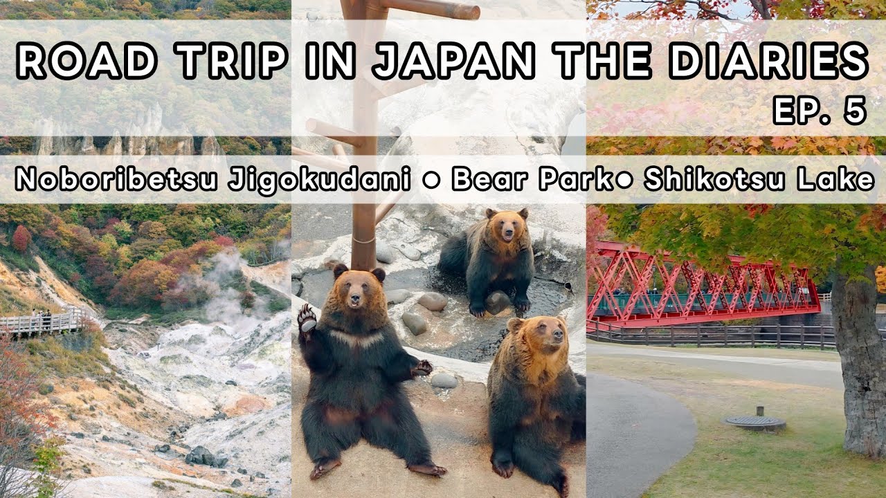 หาน้องหมีสีน้ำตาล ที่เมืองหุบเขานรก แวะชม Shikotsu Lake ก่อนขับรถไปดูงานไฟ | ROAD TRIP IN JAPAN EP.5
