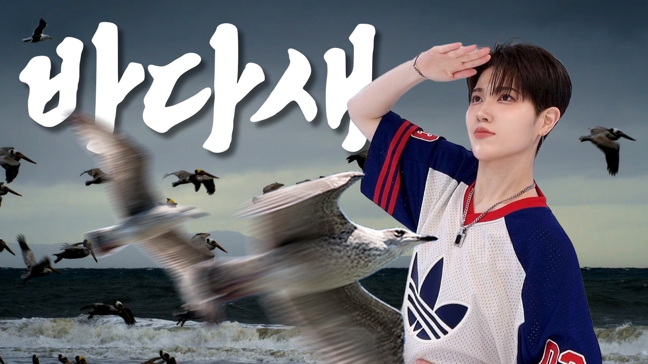 💥역주행 에어로빅💥 바다새 | 다이어트댄스 에어로빅 거울모드 Mirrored