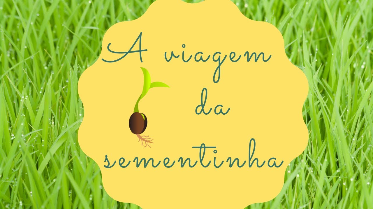 A viagem da sementinha - história que ensina sobre as plantas - de Maria Sardenberg