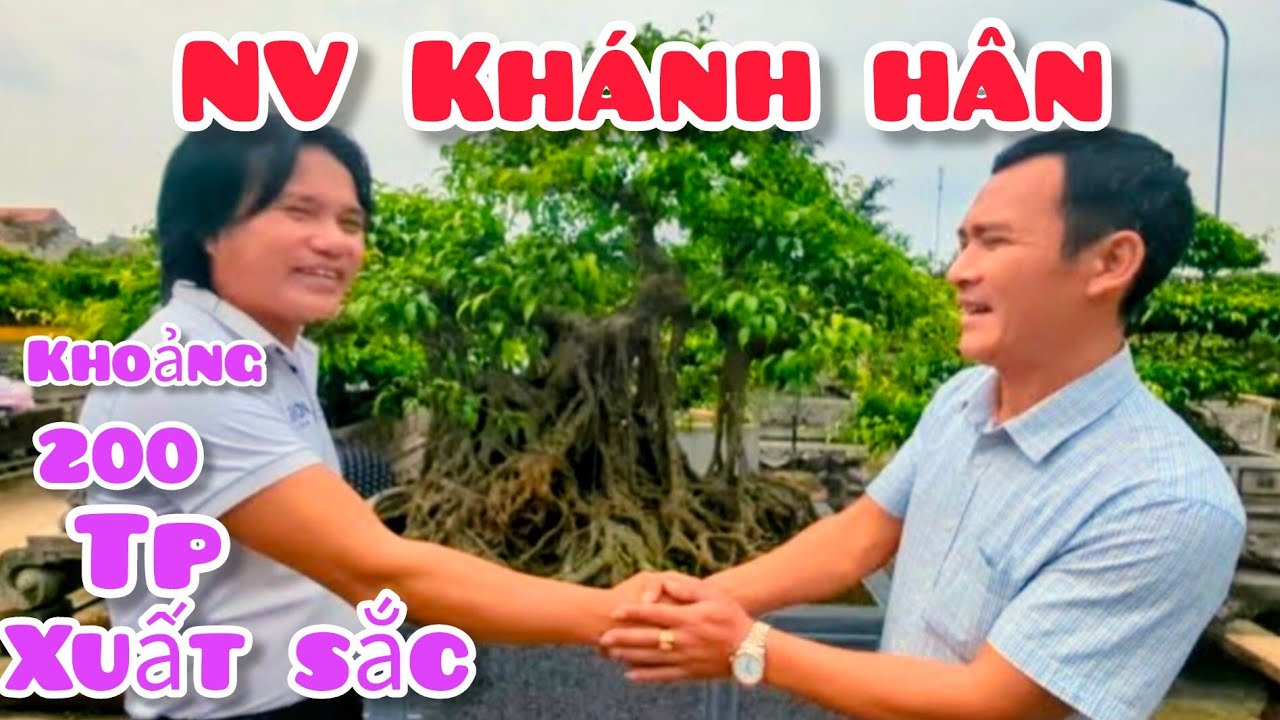 Thăm vườn cây nhà vườn Khánh Hân với khoảng 200 tác phẩm cây cảnh BTC 12 TP xuất sắc tham gia TL