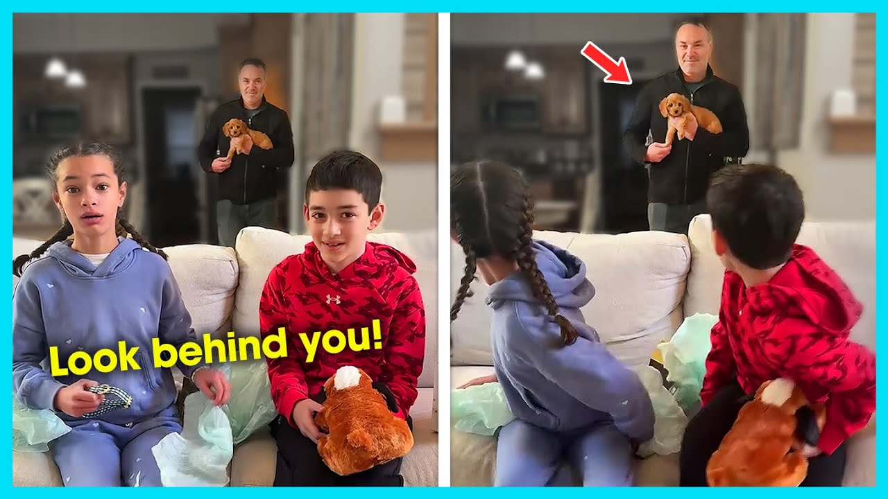 💕 Kids Think the Gifts Are Over… Then This Happens | New Puppy Surprise Compilation