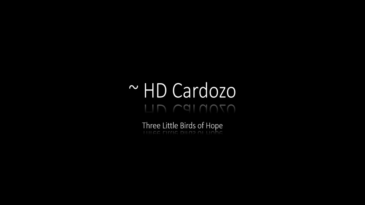Three Little Birds of Hope Video