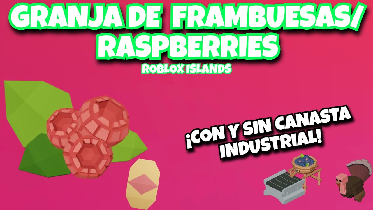 GRANJA DE FRAMBUESAS/RASPBERRIES EN ROBLOX ISLANDS | Joacia