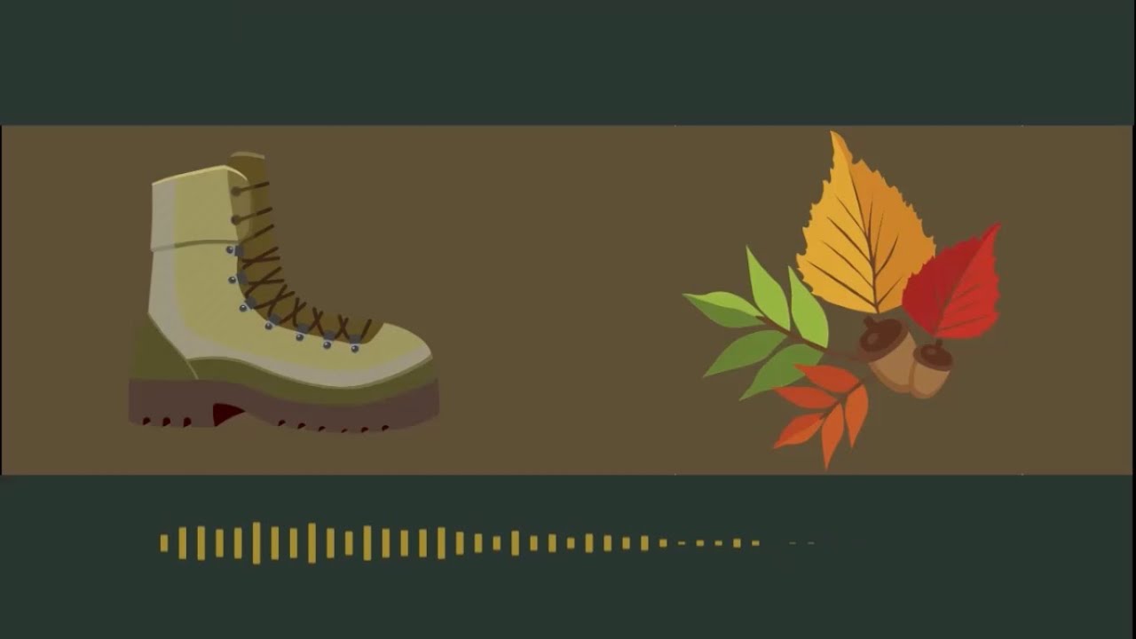 ASMR walking on crunchy autumn leaves