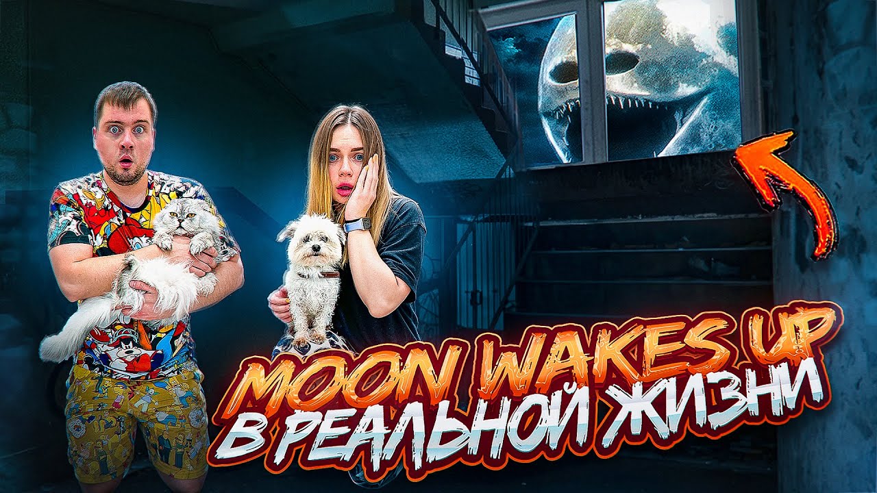 MOON WAKES UP В РЕАЛЬНОЙ ЖИЗНИ | НОЧЬ В ПОДЪЕЗДЕ С КОТОМ И СОБАКОЙ