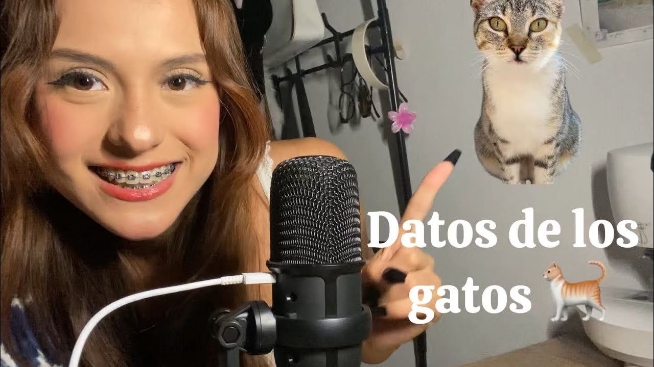 ASMR||Datos curiosos de los gatos 🐈🙀💗