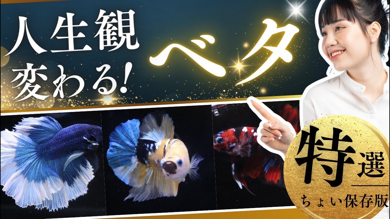 涼しさ感じる平安特選ベタ紹介ライブ！