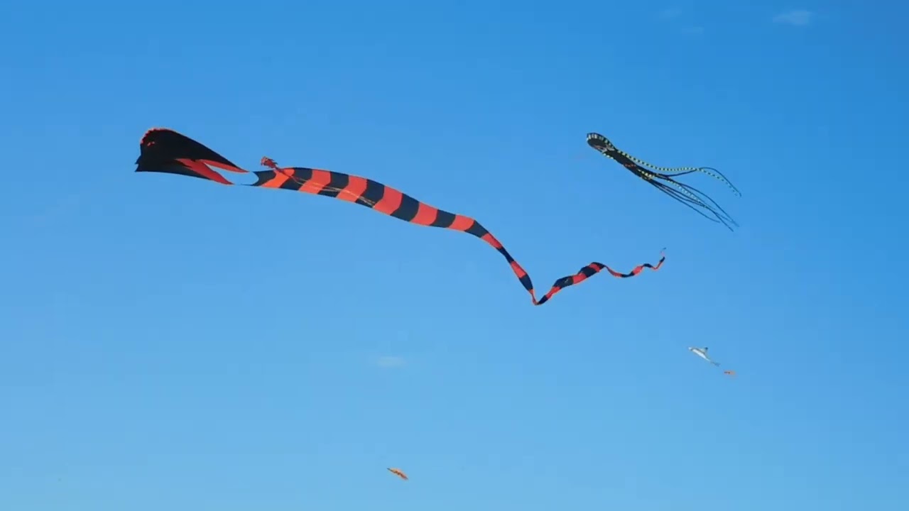 Treasure Island Kite Festival