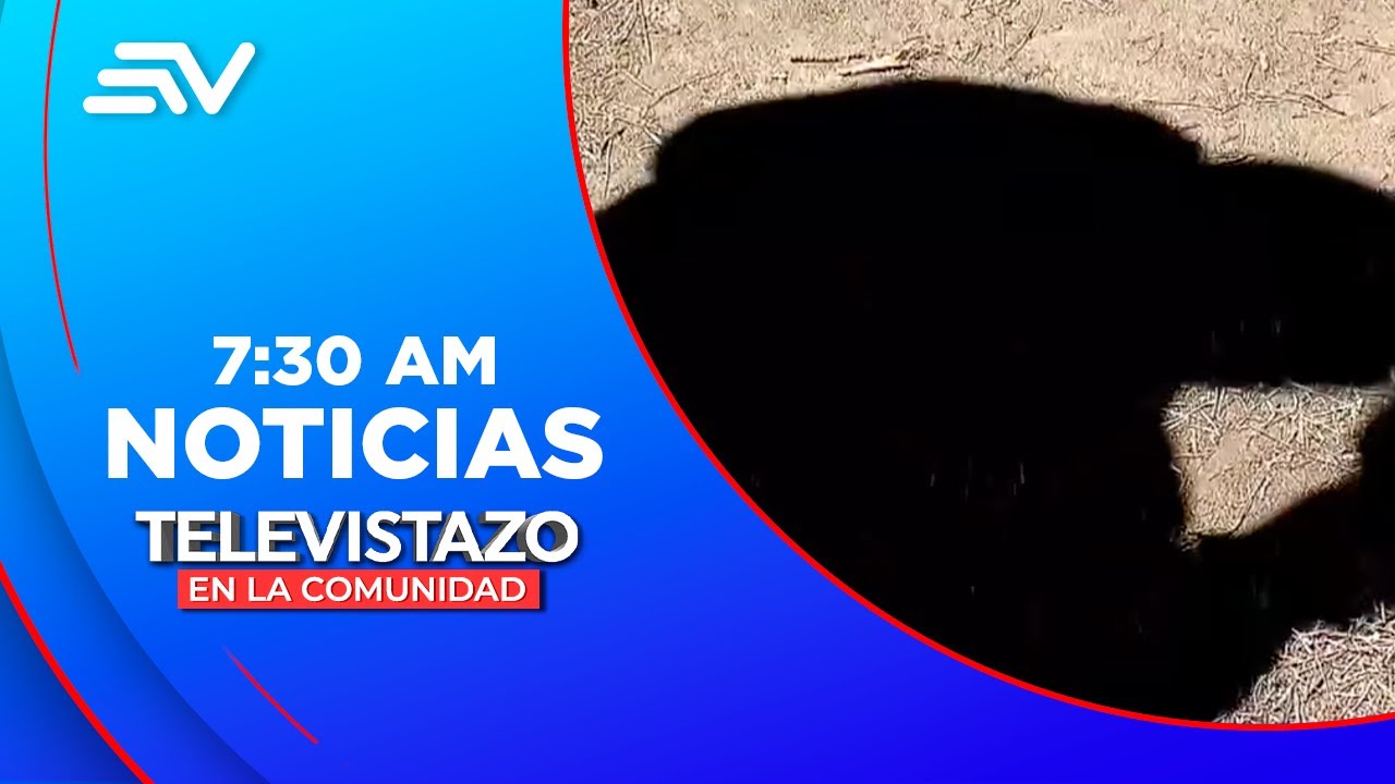 Hombre fue escopolaminado por mujer que conoci&oacute; en redes sociales  | Televistazo | Ecuavisa