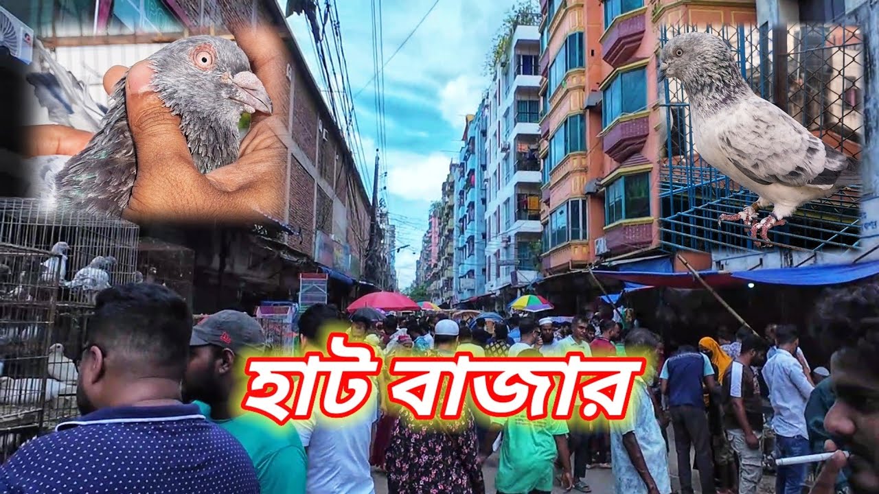 আজ হাট বাজারে ঘুরে বেড়ালাম🥰