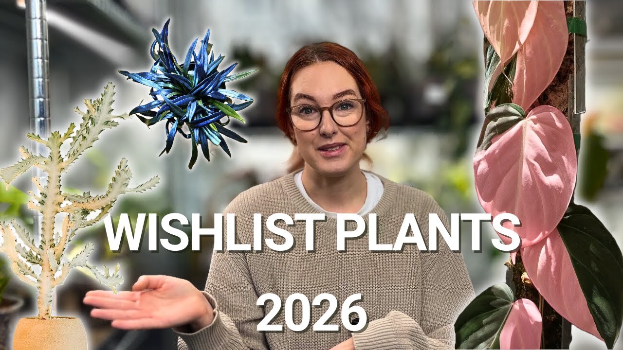 My Wishlist Plants For 2026! 🎁🌿 - as a small plant business