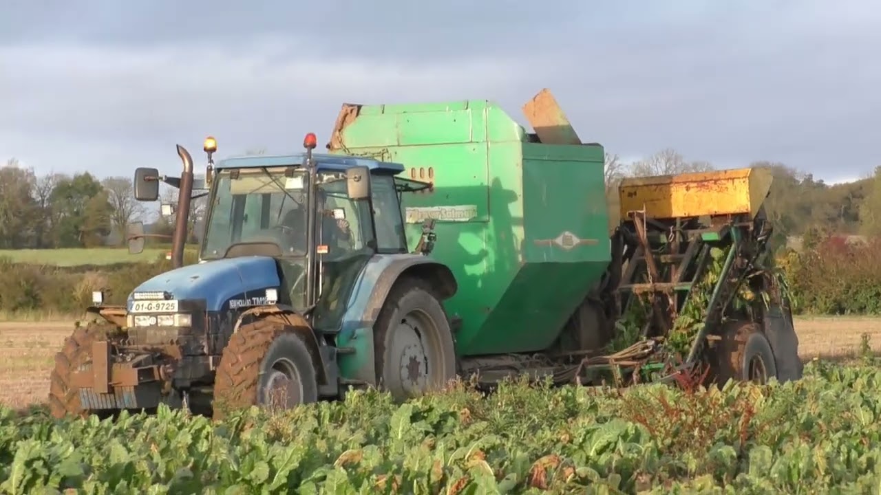 Beet 2023 Gerry Donoghue Agri