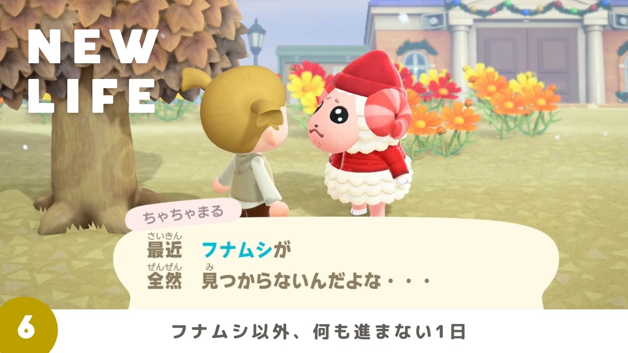 【あつ森｜最初から】※本当に何も進みません※フナムシを探して、ただウロウロしていただけの1日 #6【作業用】