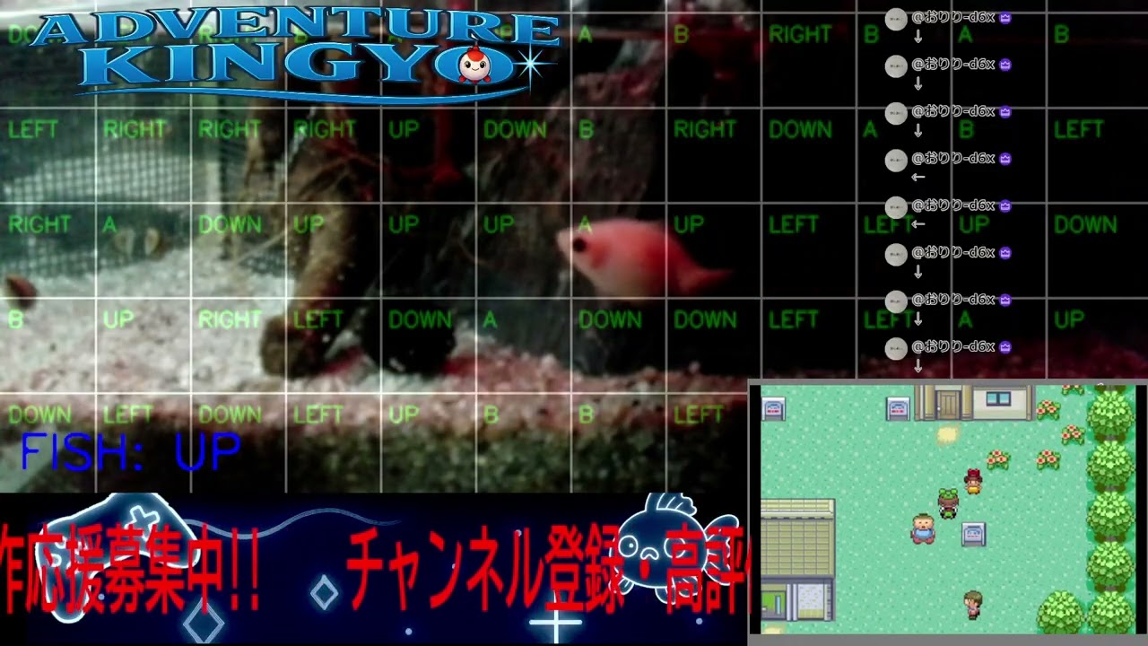 【ポケモンエメラルド】金魚がゲームをプレイ!? 🐟 視聴者コメントで動く参加型ライブ配信 〜Adventure Kingyo〜 パート61 2026-01-29
