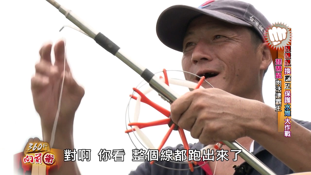 360行向前衝 197-2 (琵琶鼠+泰國蝦)