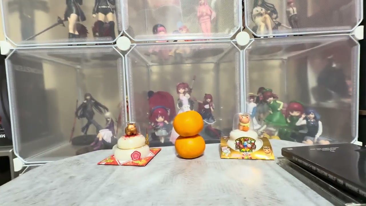 DVDコレクション📀