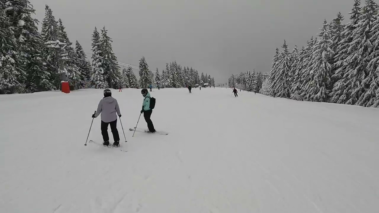 Plein soleil - grand massif - les carroz -flaine